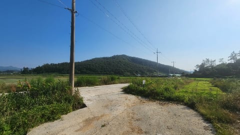 물건 사진 13