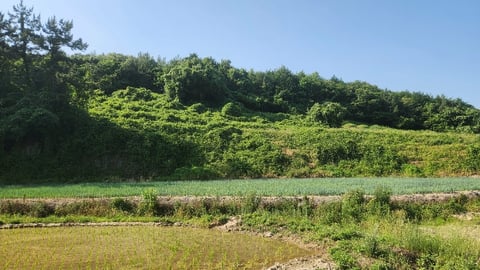 물건 사진 15