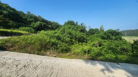 물건 사진 16