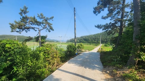 물건 사진 17