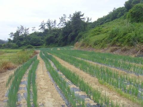 물건 사진 4