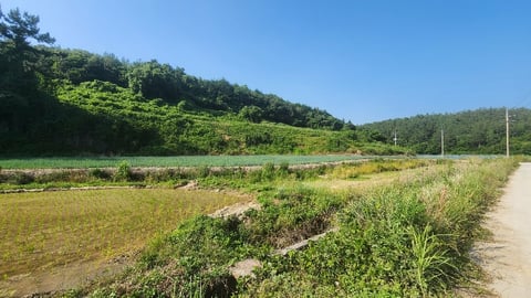물건 사진 10