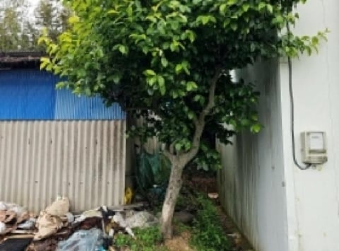 물건 사진 15