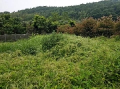 물건 사진 18