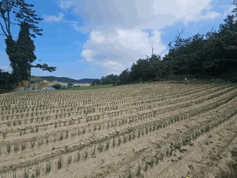 물건 사진 29