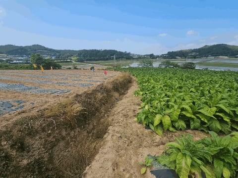 물건 사진 36