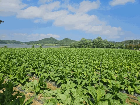 물건 사진 38