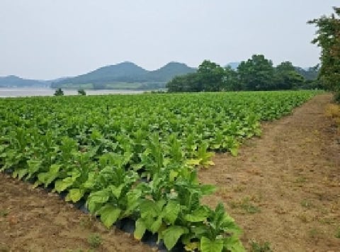 물건 사진 8