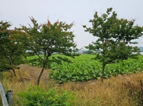 물건 사진 9