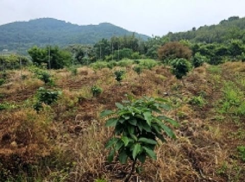 물건 사진 20
