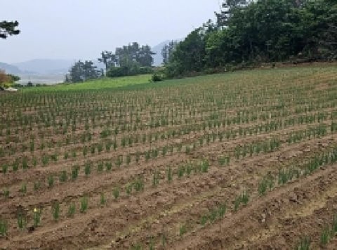 물건 사진 7