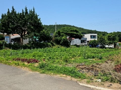 물건 사진 11