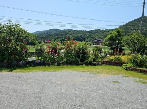 물건 사진 13