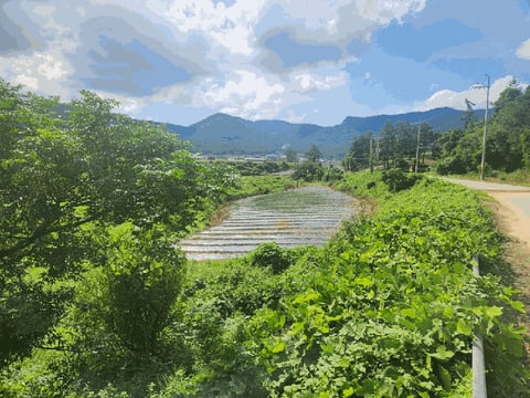 물건 사진 15