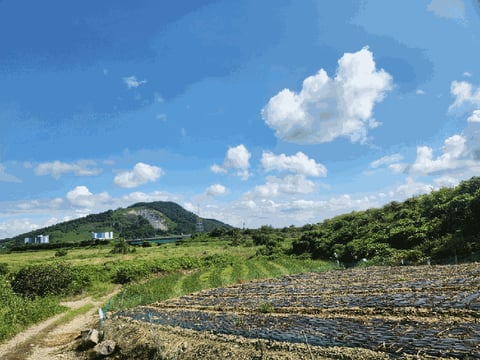 물건 사진 18