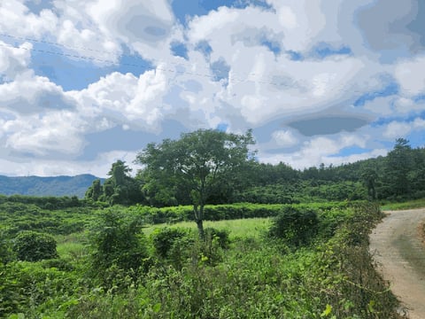 물건 사진 20