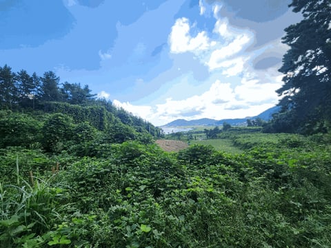 물건 사진 21