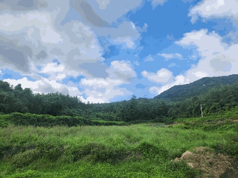물건 사진 22