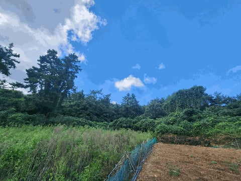 물건 사진 25
