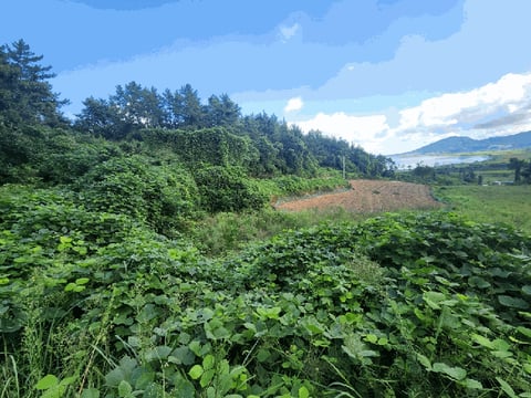 물건 사진 26