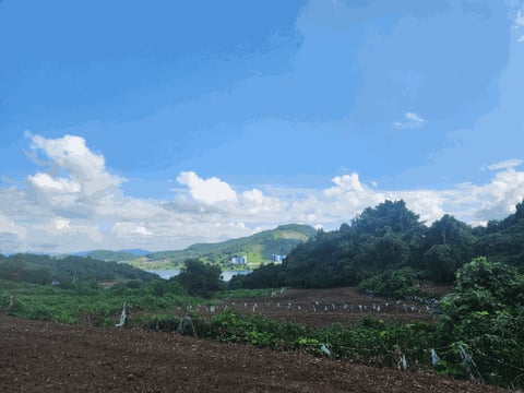 물건 사진 27