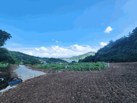 물건 사진 31