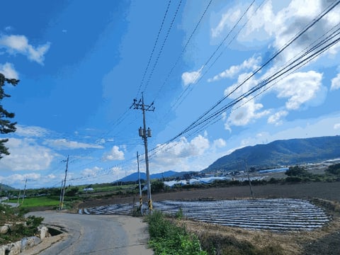 물건 사진 32