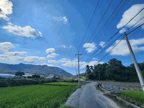 물건 사진 33