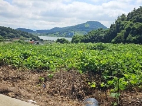 물건 사진 8