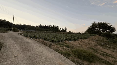 물건 사진 15