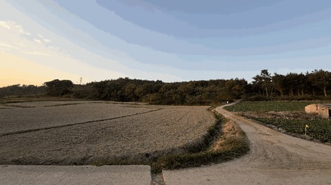 물건 사진 18