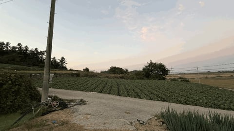 물건 사진 14