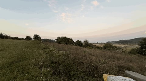 물건 사진 17