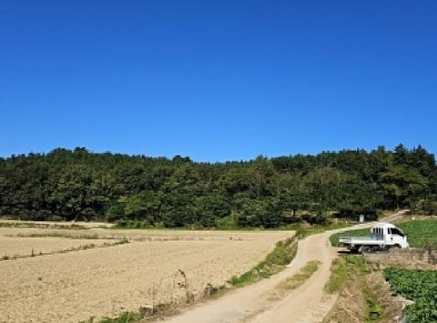 물건 사진 8