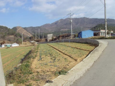 물건 사진 5