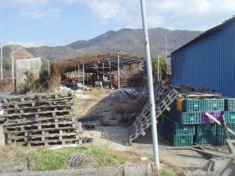 물건 사진 8