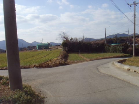 물건 사진 9