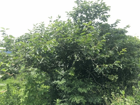 물건 사진 16