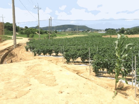 물건 사진 23