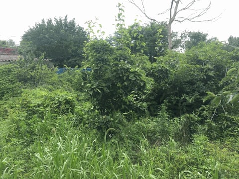 물건 사진 34
