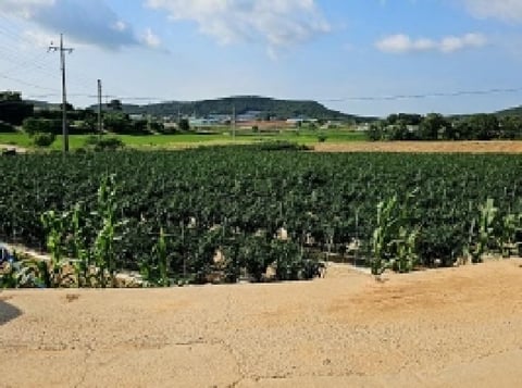 물건 사진 8