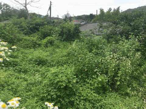 물건 사진 15
