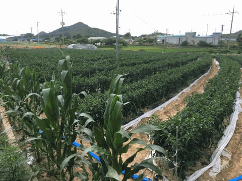 물건 사진 28