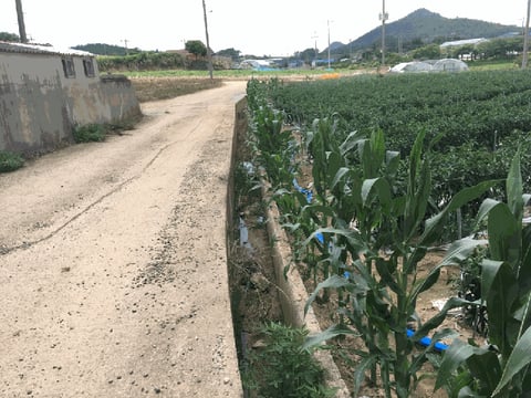 물건 사진 37