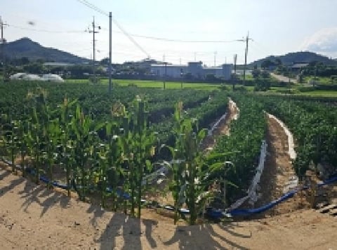 물건 사진 7