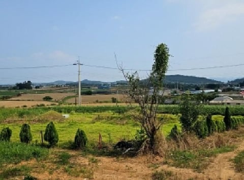 물건 사진 2