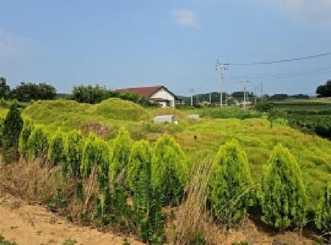 물건 사진 6