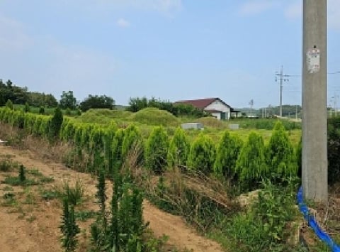 물건 사진 3