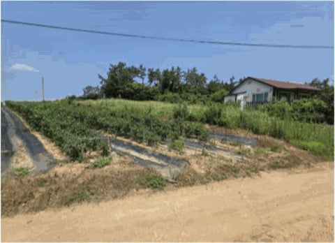 물건 사진 29