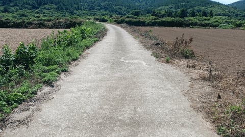 물건 사진 15